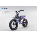 Ebike powerful electric cycles Rocky